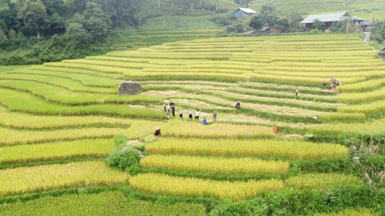 May Homestay Sapa Eksteriør billede